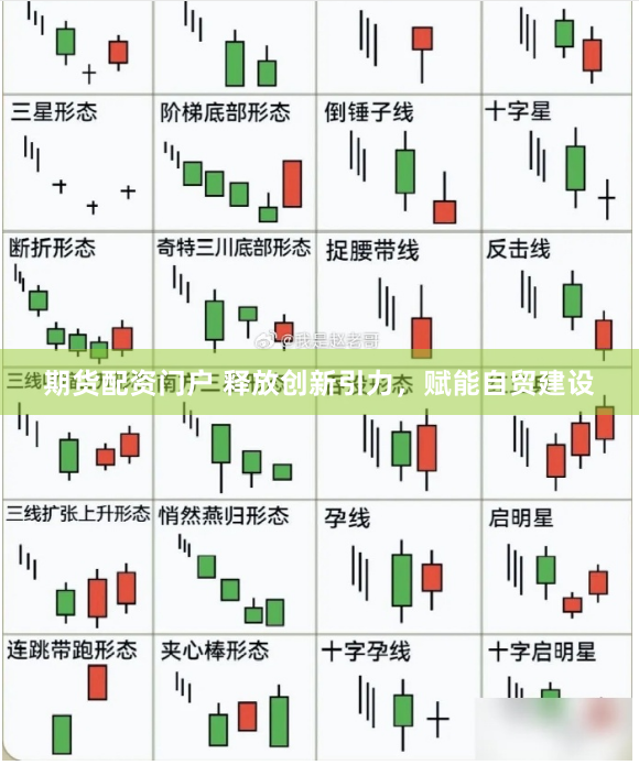 期货配资门户 释放创新引力，赋能自贸建设