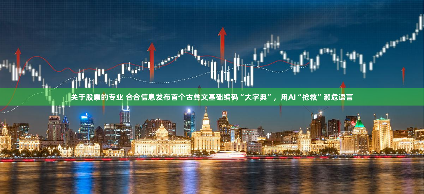 关于股票的专业 合合信息发布首个古彝文基础编码“大字典”，用AI“抢救”濒危语言