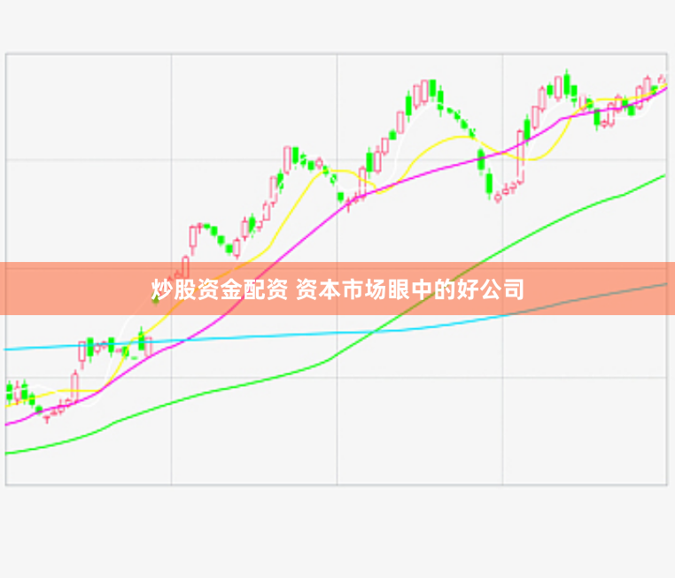 炒股资金配资 资本市场眼中的好公司