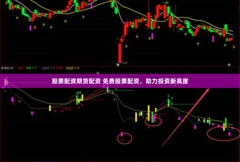股票配资期货配资 免费股票配资，助力投资新高度