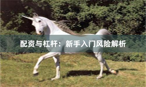 配资与杠杆：新手入门风险解析