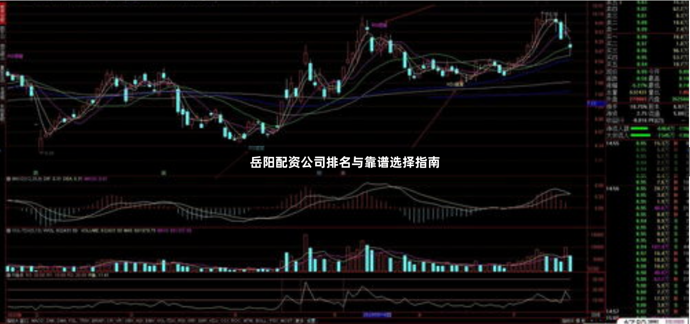 岳阳配资公司排名与靠谱选择指南